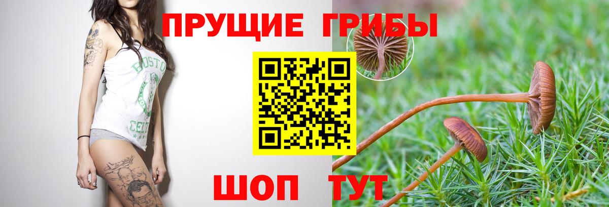 Галлюциногенные грибы ЛСД  Вход с VPN  Псилоцибиновые грибы ЛСД  Норильск 